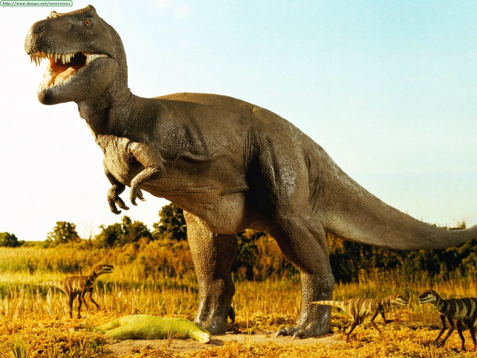 Dinosaurs photos